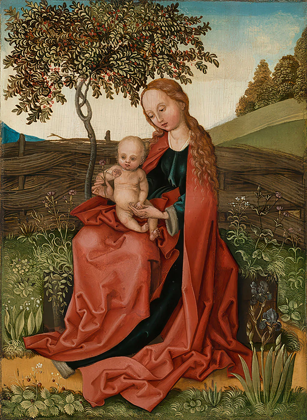 The Virgin and Child by Martin Schongauer