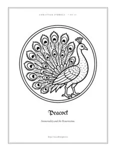 Peacock coloring page, free printable Christian symbol to color